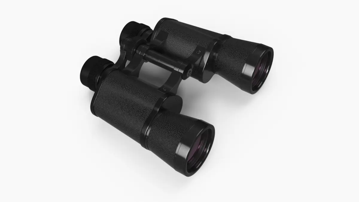 Binoculars 10x40 3D model