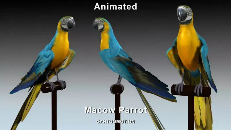 Blue Macaw Parrot Low-poly 3D model