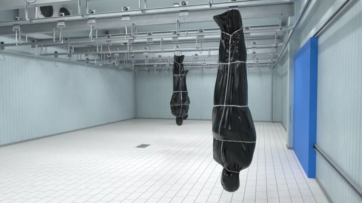Cold Storage Unit with Hanging Bag for Cadaver 3D model