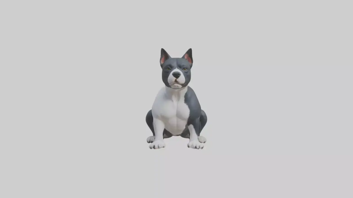 Sitting Staffordshire Bull Terrier model Low-poly 3D model