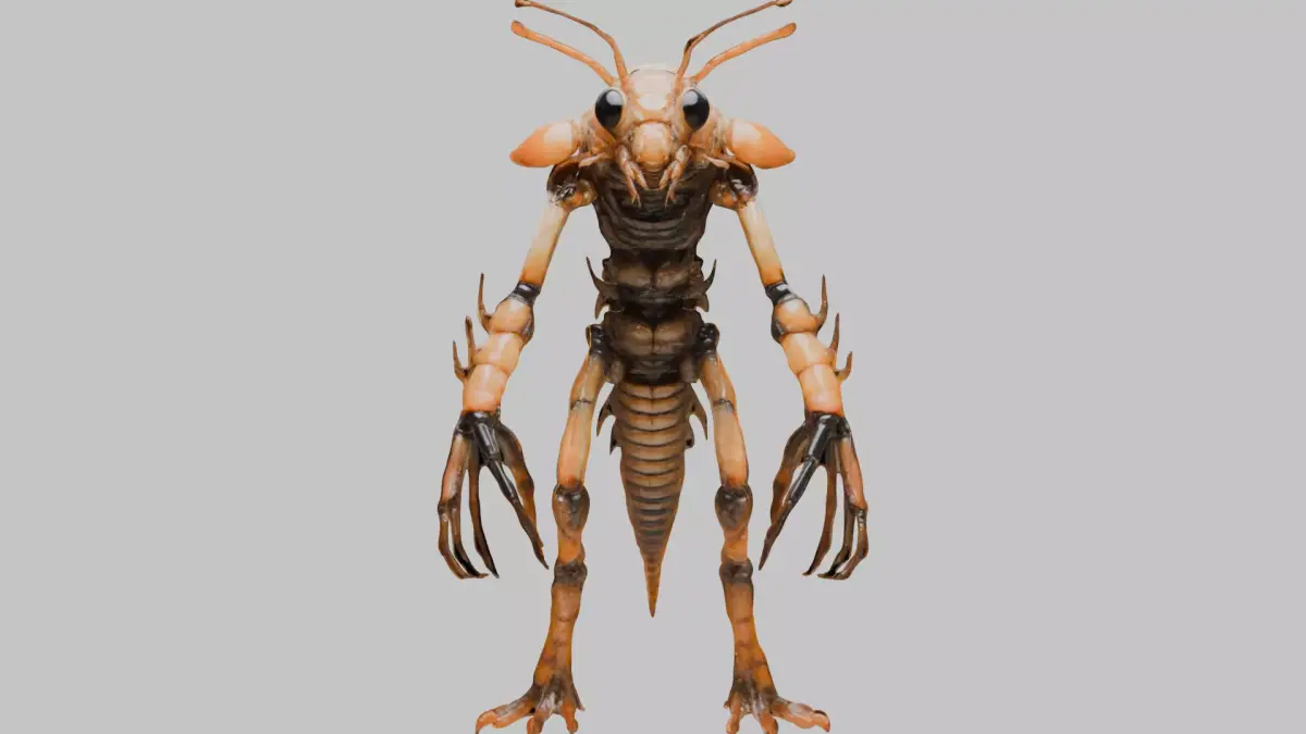 Stylized Prawn 3D Model Low-poly 3D model