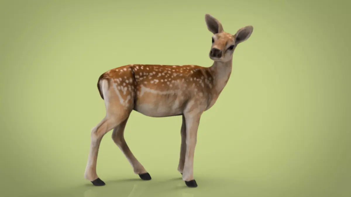 BABY DEER Low-poly 3D model