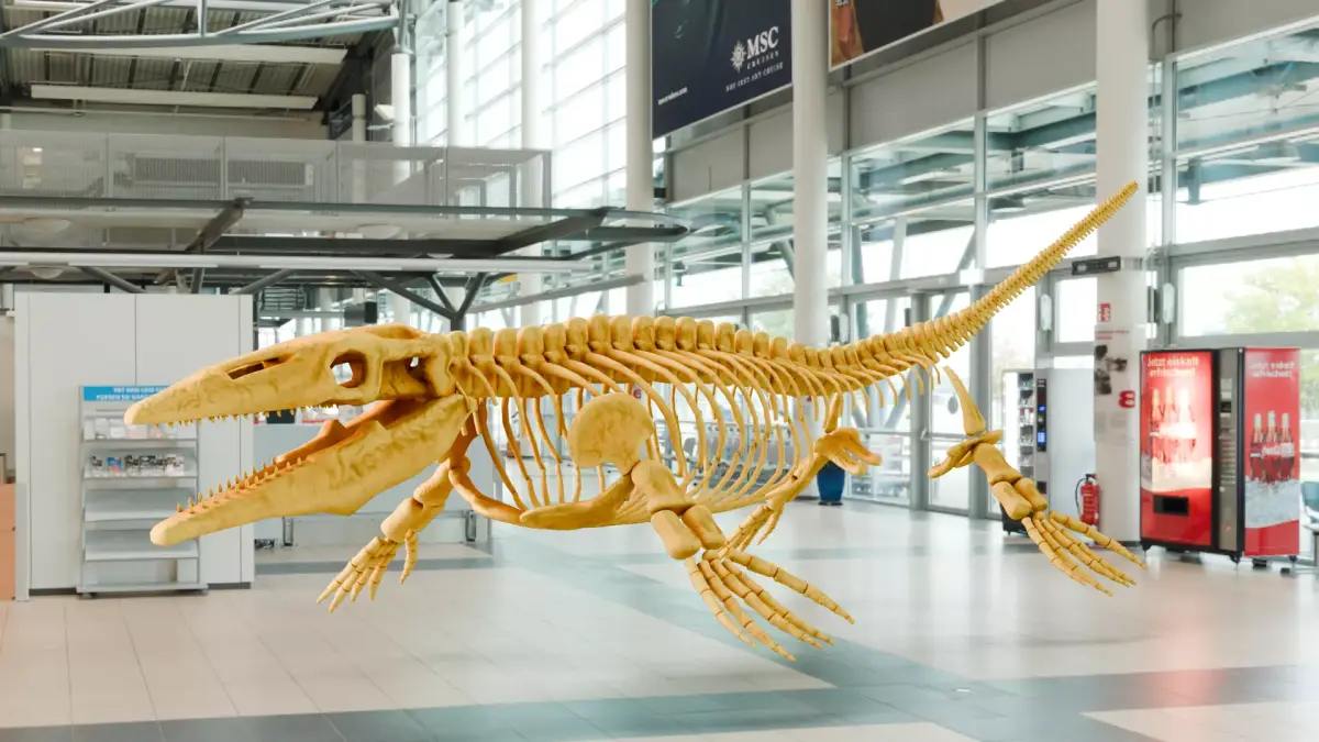 Realistic Ancient Reptilians Fossil - Mosasaurus Low-poly 3D model