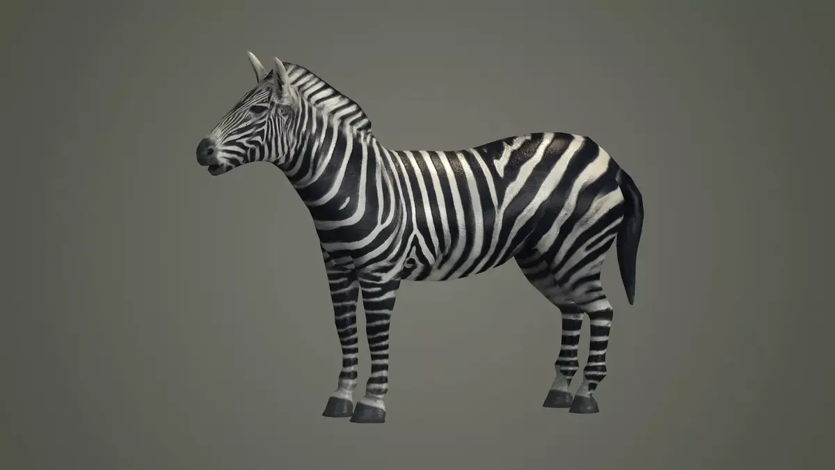 animals animal zebra horse land mammals plains mammal 3D model