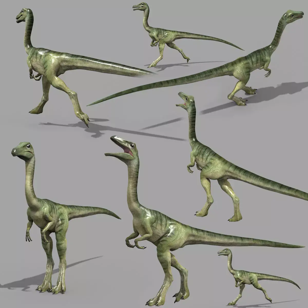 Real Animated Compsognathus - 8K 3D model