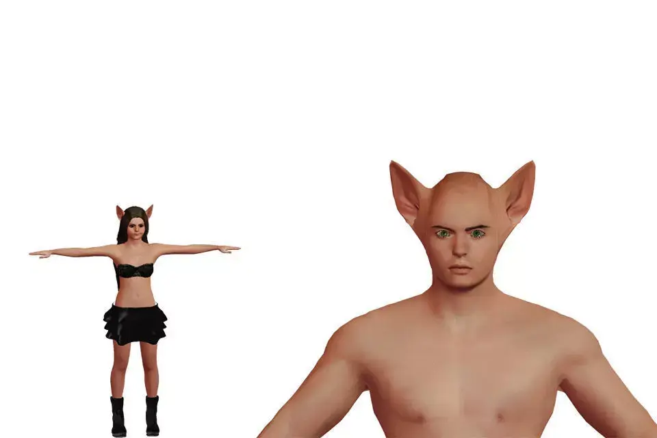 Couple-2 woman in outfit with cat ears Low-poly 3D model