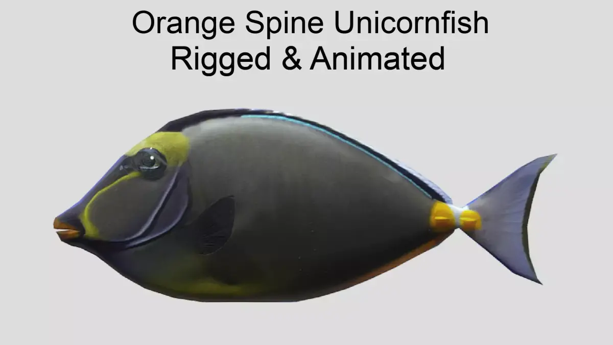 Orange Spine Unicornfish Realistic Animated Low-poly 3D model
