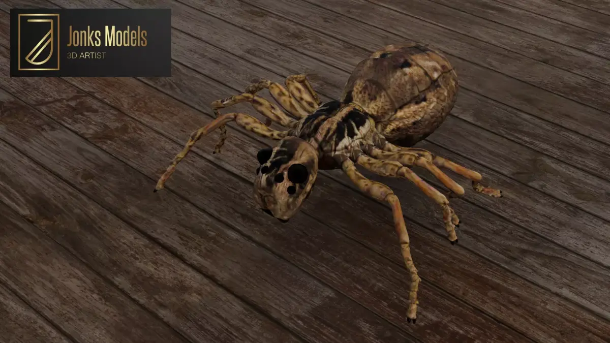 Spider Low-poly 3D model shop