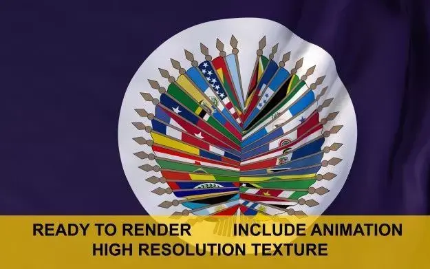 OAS 3d Flag 3D model