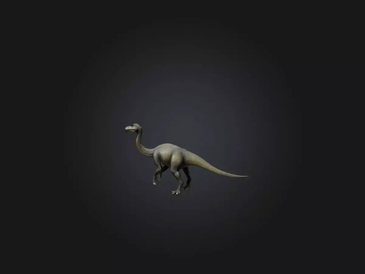 Realistic Diplodocus Model Low-poly 3D model