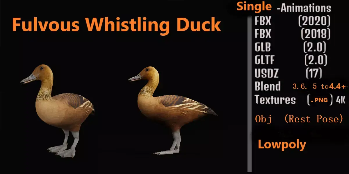 Fulvous Whistling Duck Low-poly 3D model