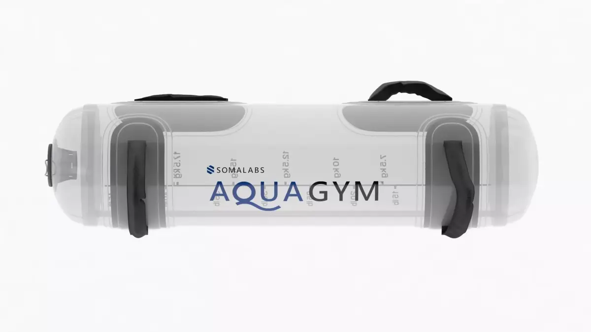 Aqua Bag 3D model