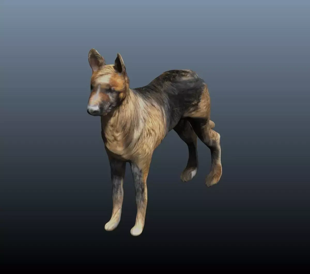 german shepard 3D model