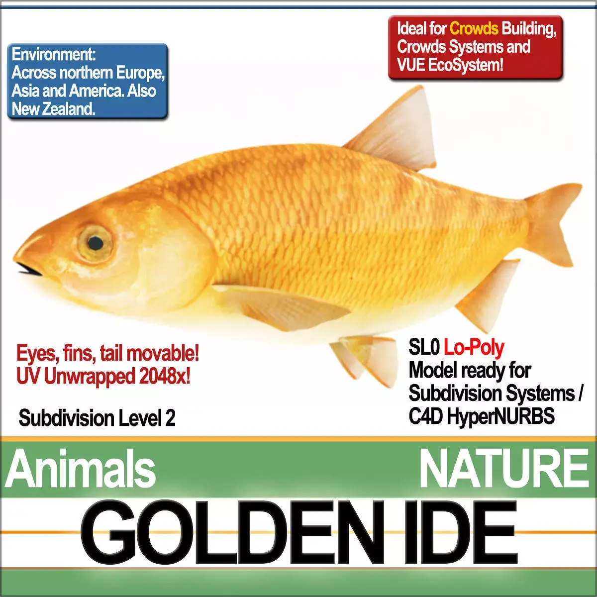 Golden Ide 3D model
