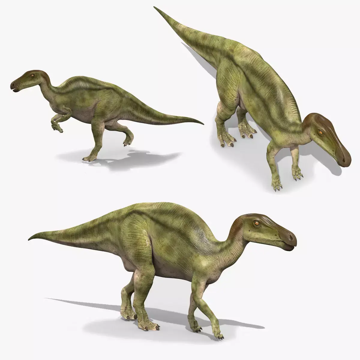 Edmontosaur Lives 8K - 3d animated model 3D model