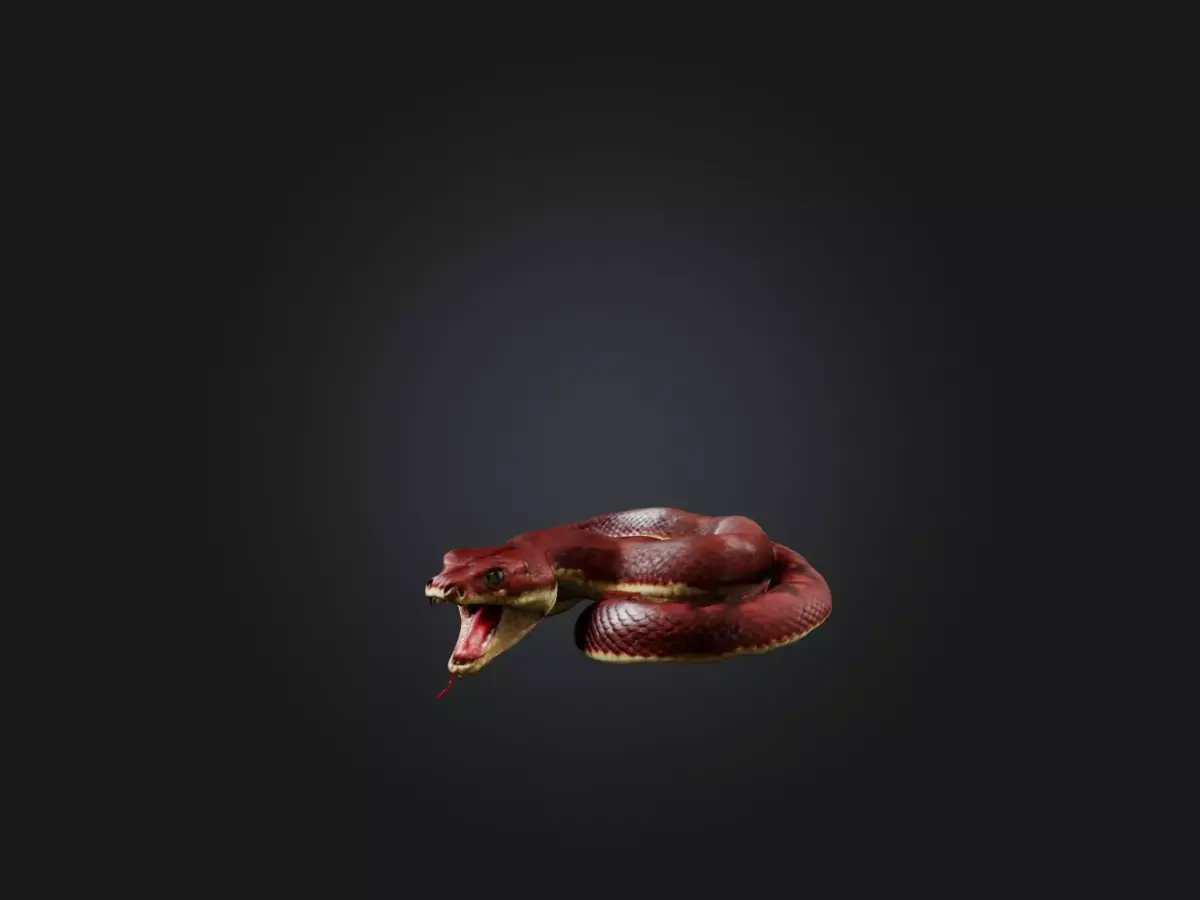 Realistic Wounded Snake Model Low-poly 3D model