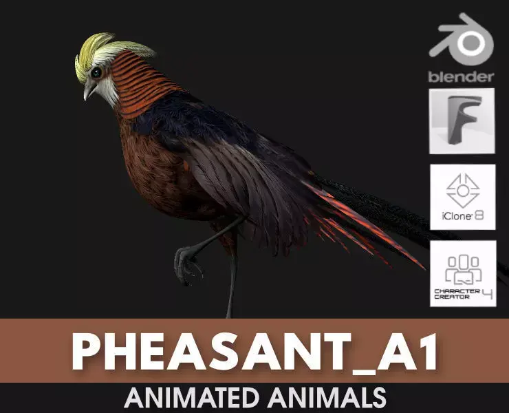 Pheasant A1 3D model