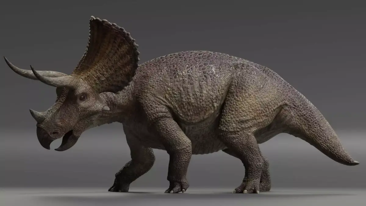 Triceratops Low-poly 3D model 2