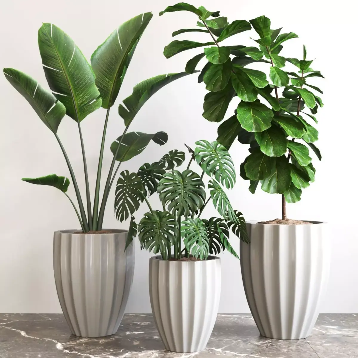 Plant Collection Rpm 08 3D model