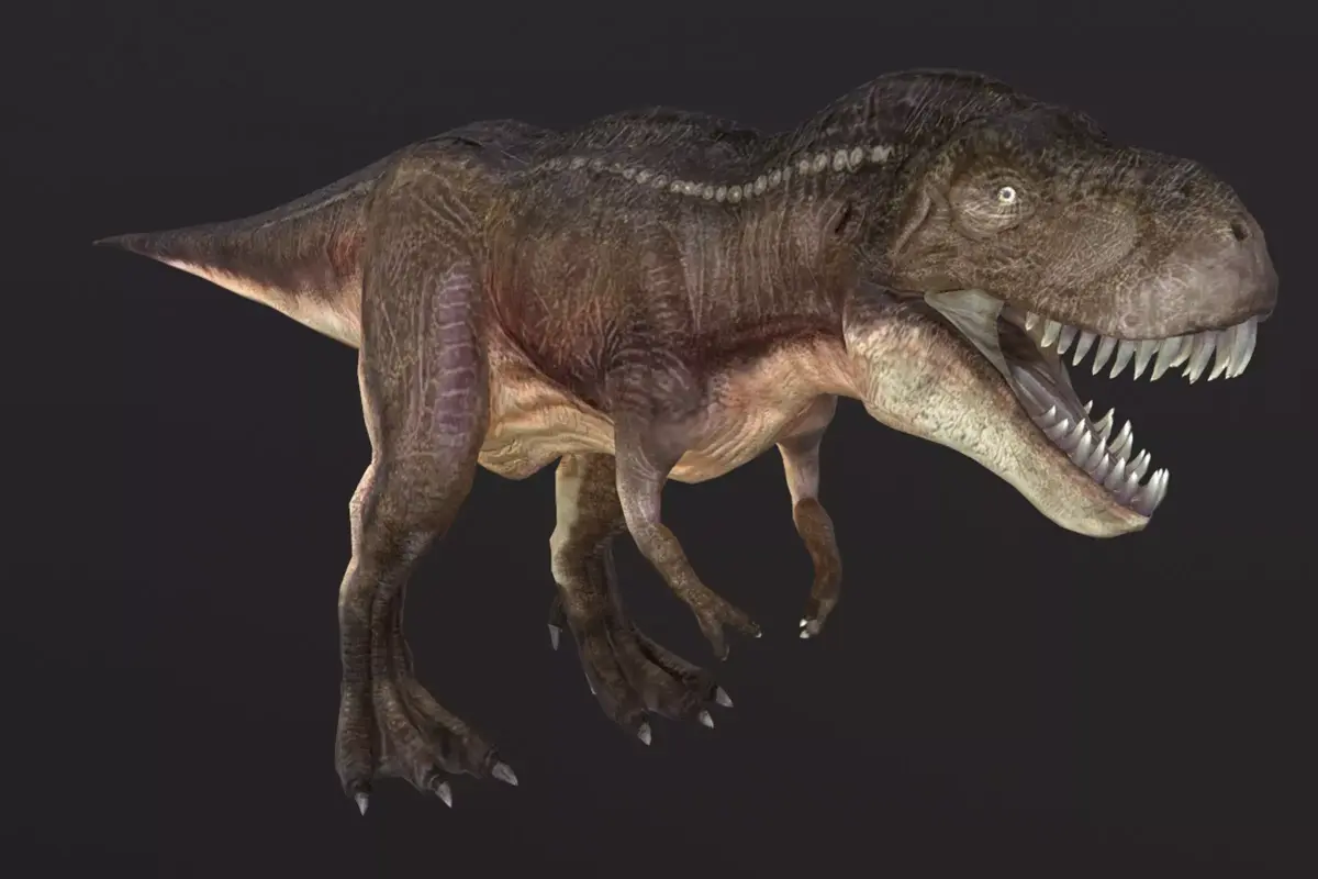 Tyrannosaurus t - rex Low-poly 3D model