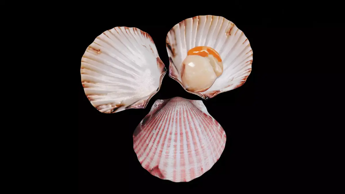 Scallop shellfish Low-poly 3D model