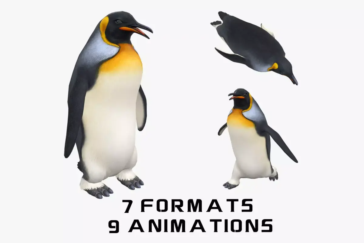 Animated penguin 3D model