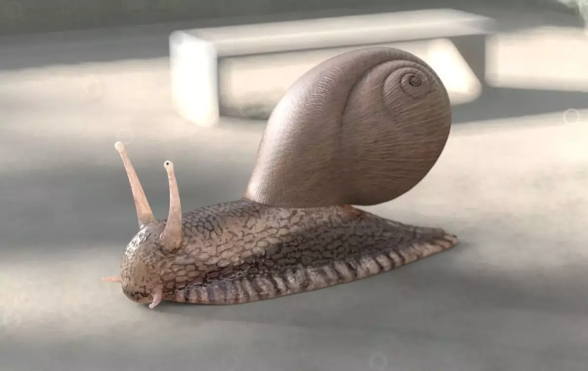 Snail insect Low-poly 3D model