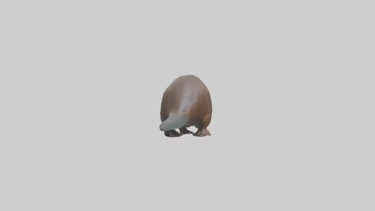 Platypus foraging model Low-poly 3D model