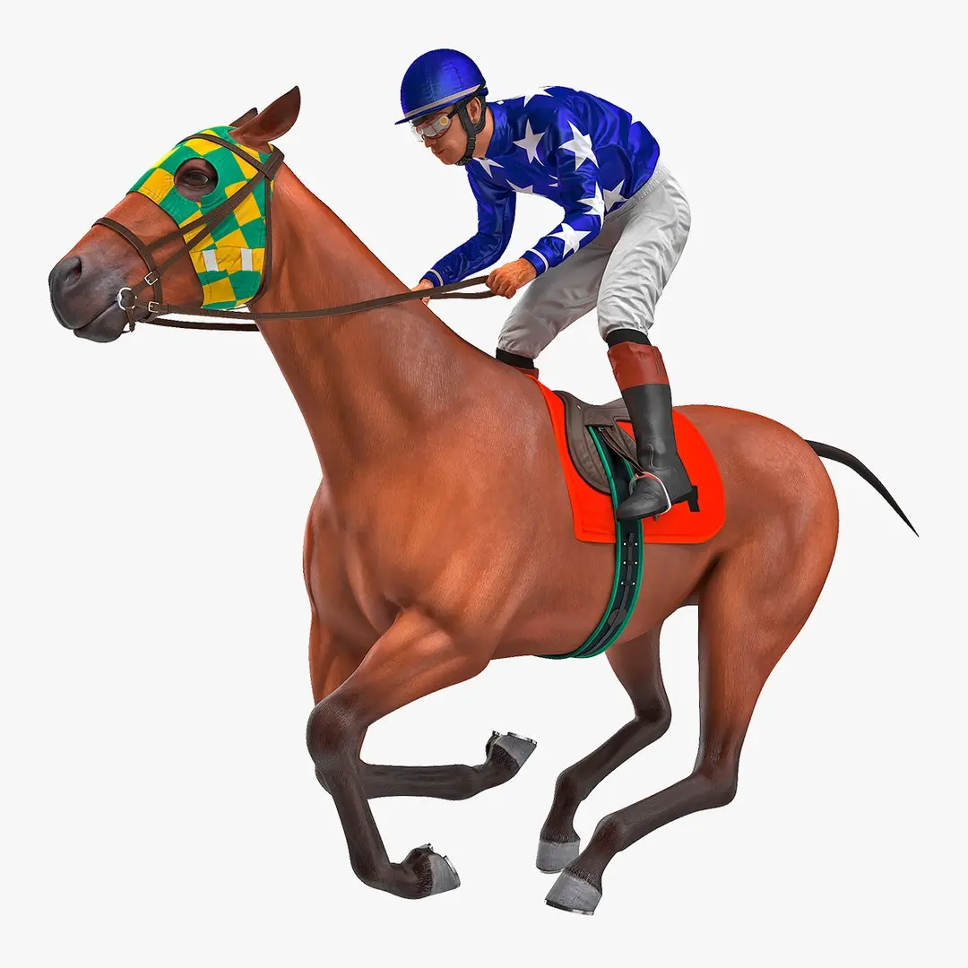 Bay Racing Horse with Jokey Gallop  purchase 3D model