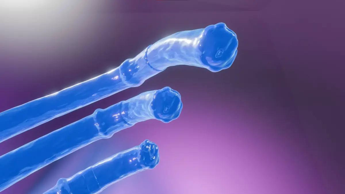 Horse cock tentacle - slime Low-poly 3D model