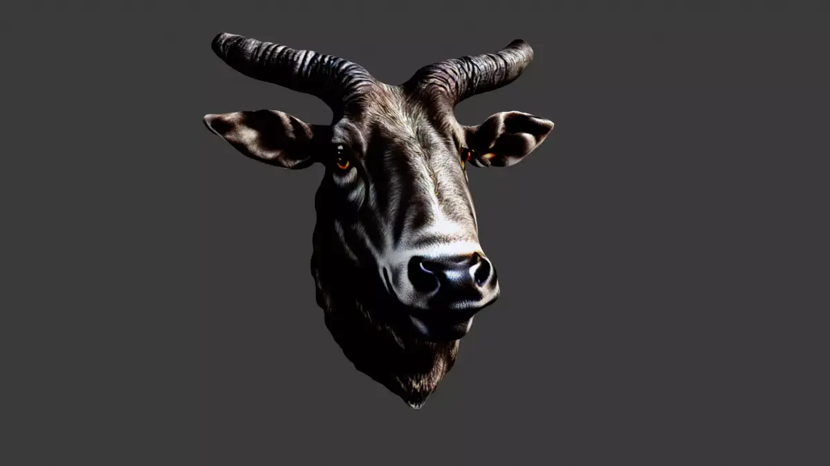Bull Animal Head Low-poly 3D model purchase