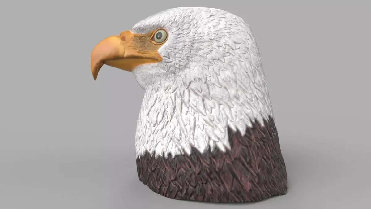 eagle head Low-poly 3D model