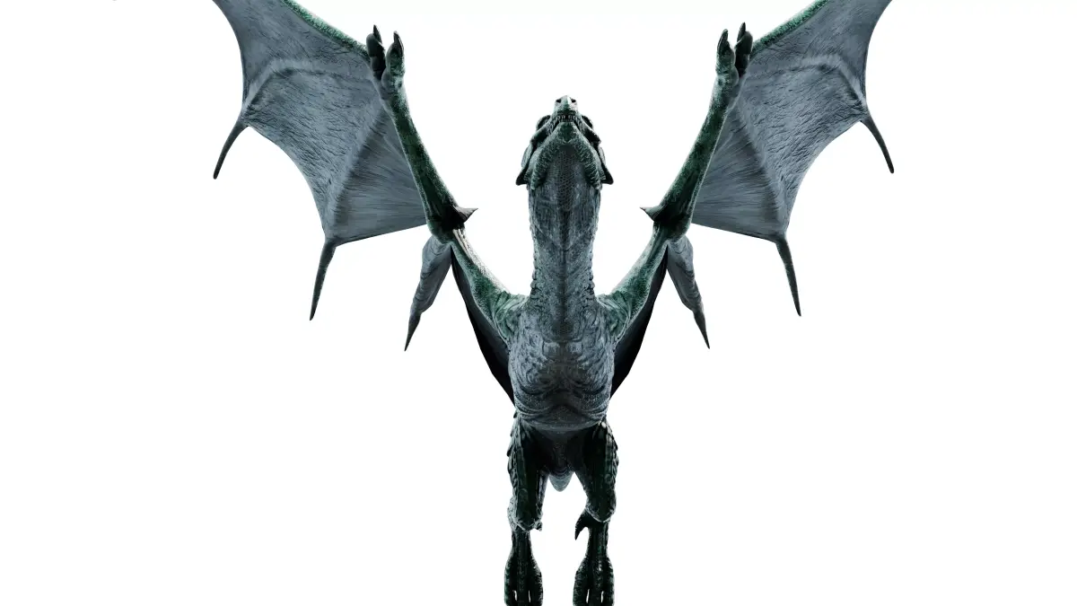 Dragon flying 3D model