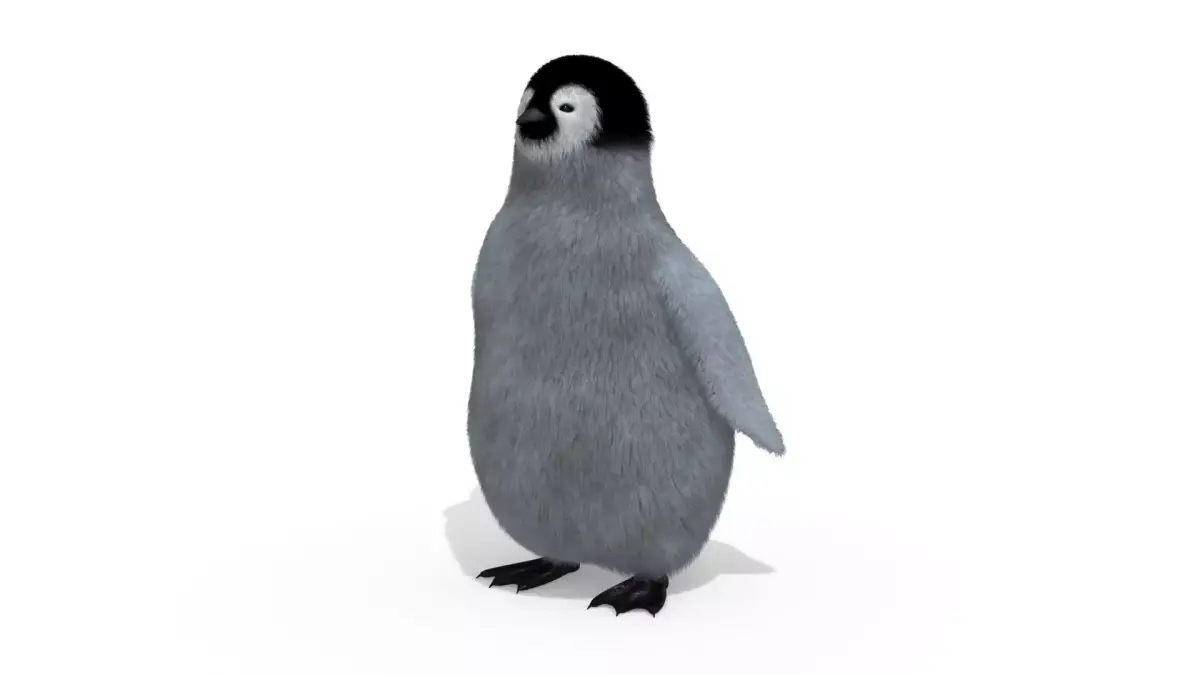 Penguin 3D model shop