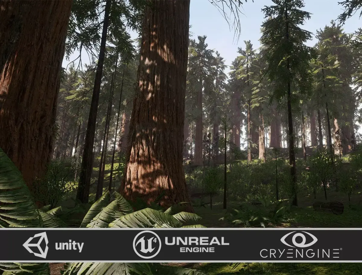 Redwood forest for game ready Low-poly 3D model purchase