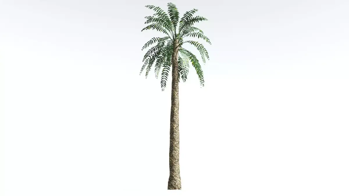 EVERYPlant Date Palm LowPoly 3 --16 Models-- Low-poly 3D model