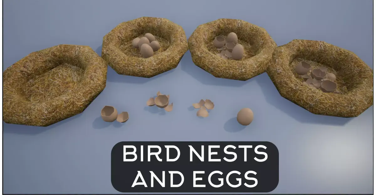 Birdnests and Eggs hatched and remains Low-poly 3D model