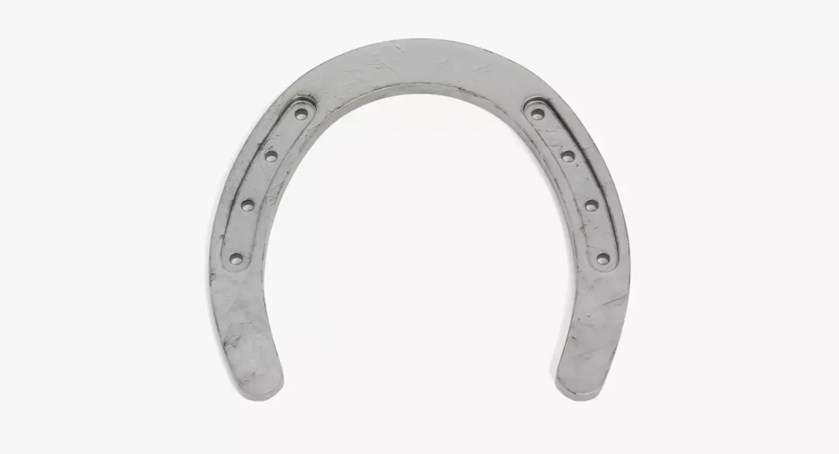 -Horseshoe- 3D model