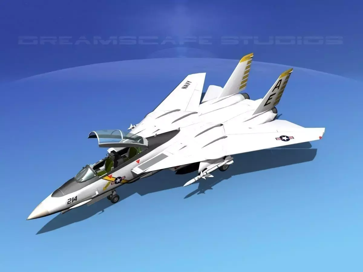 Grumman F-14D Tomcat T13a vf142 3D model