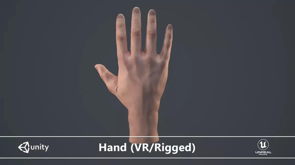 Male Hand  Low-poly 3D model