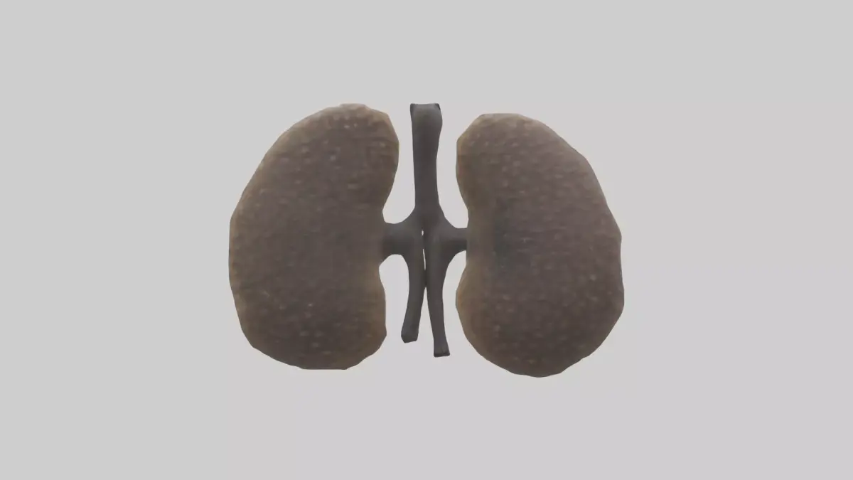 Hyena Kidneys Low-poly 3D model