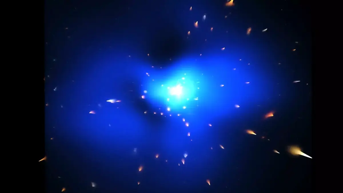 Phoenix Cluster 3D model purchase