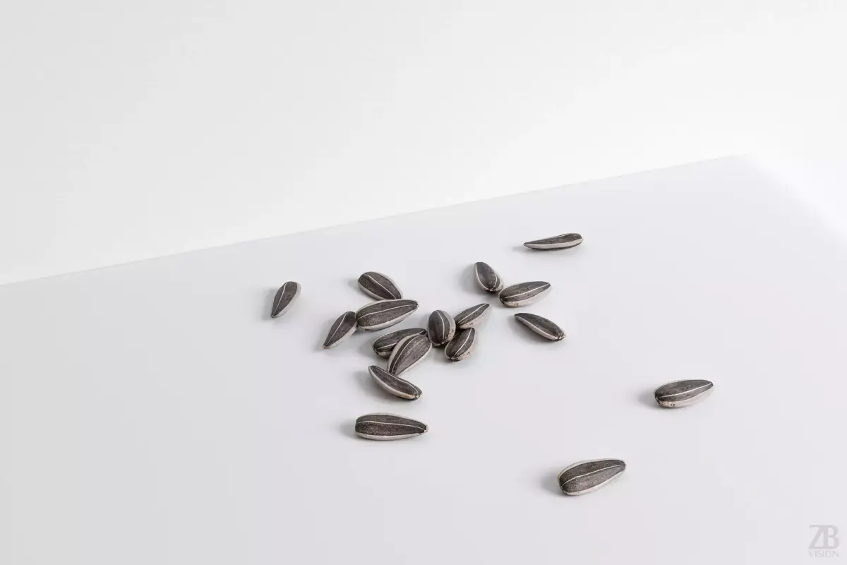 Sunflower Seed 3D model