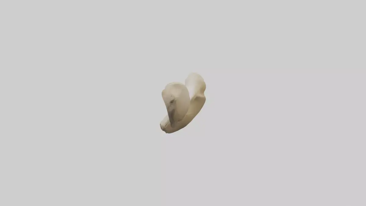 Camel Femur Low-poly 3D model