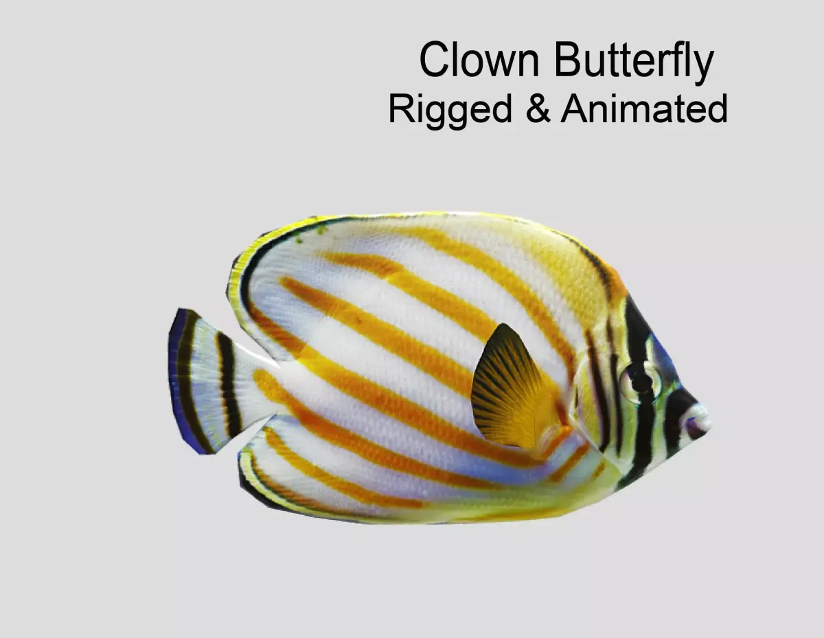 Clown Butterfly Realistic Animated Low-poly 3D model