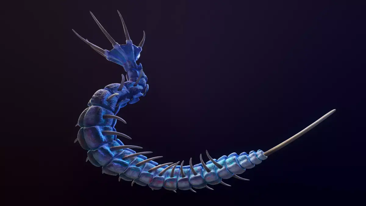 Giant Worm Low-poly 3D model