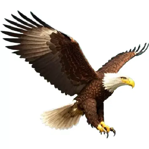 Majestic Eagle  3D model