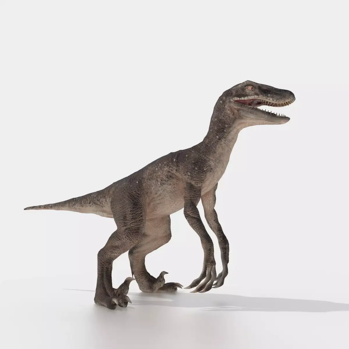 velociraptor dinosaur Low-poly 3D model