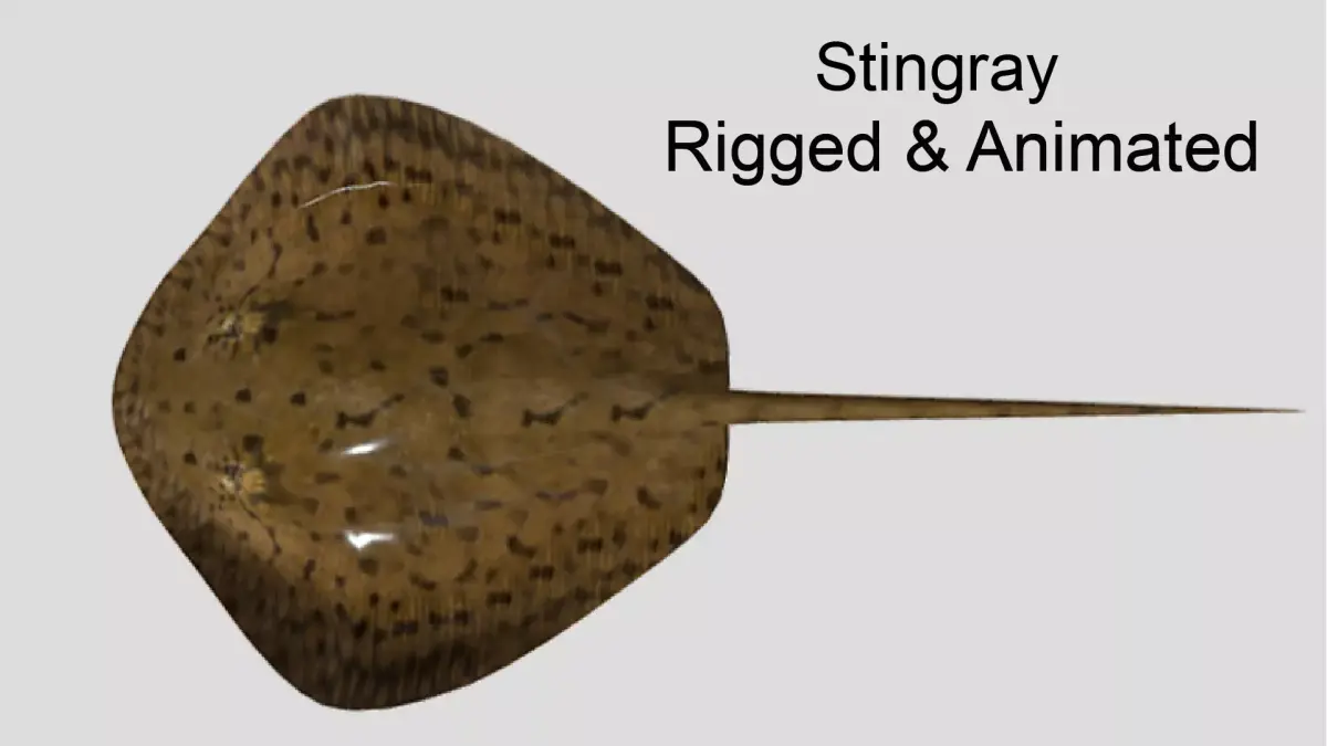 Stingray Realistic Animated Low-poly 3D model