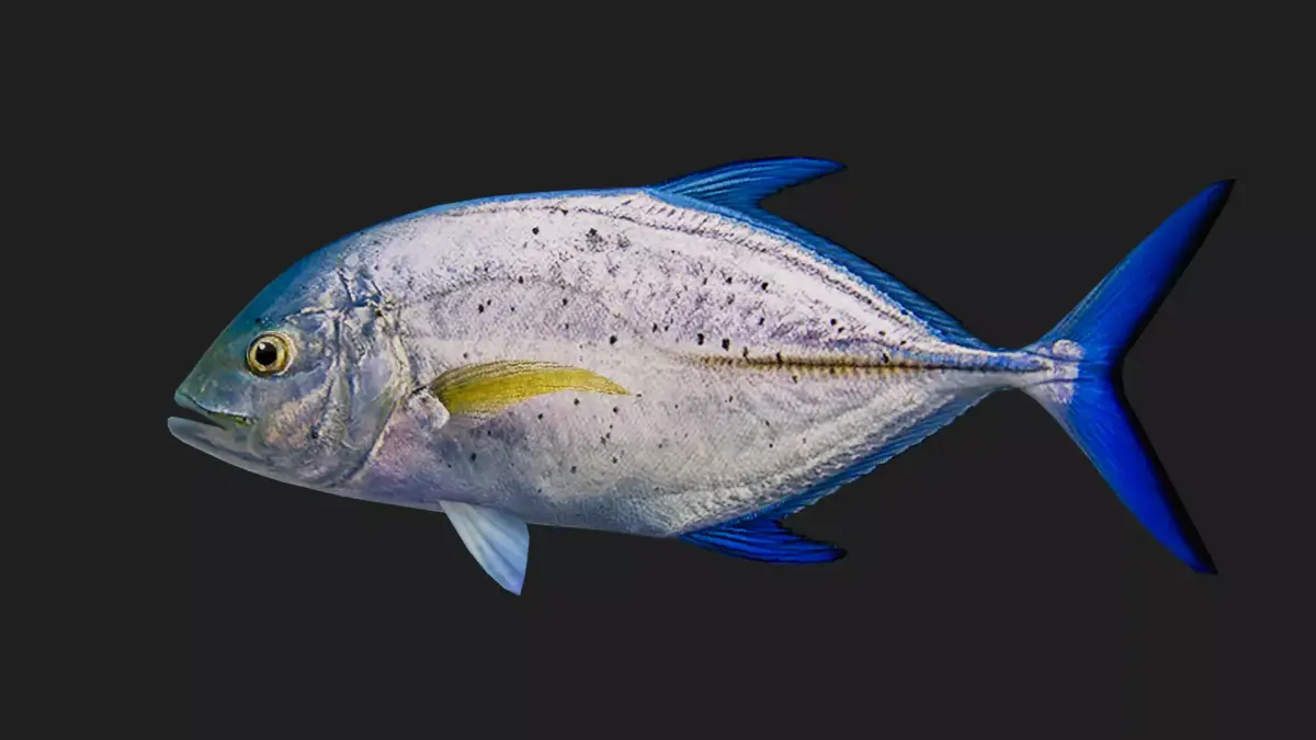 Trevally Low-poly 3D model get
